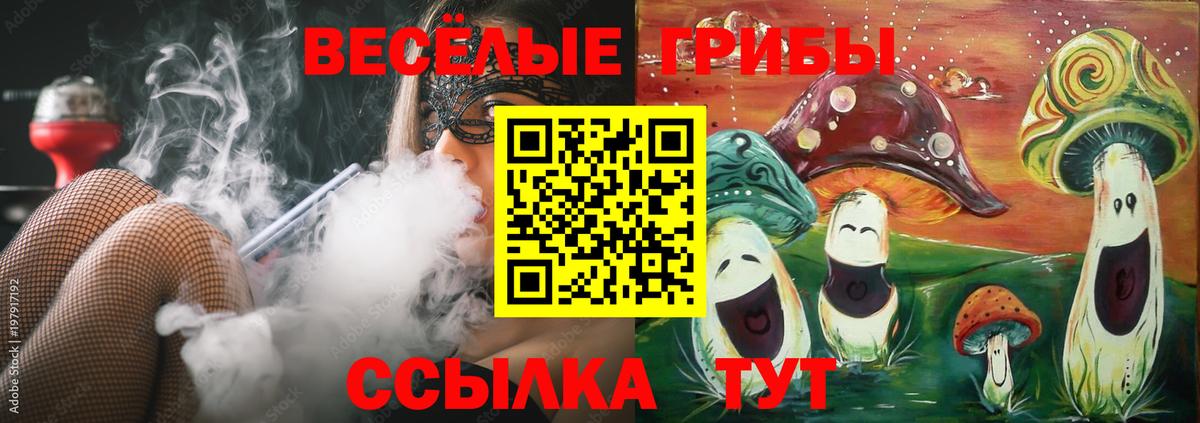Канаш  Галлюциногенные грибы GOLDEN TEACHER  Вход с VPN 