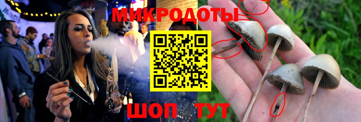 Галлюциногенные грибы мицелий Канаш